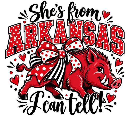 She’s From Arkansas I Can Tell T-Shirt