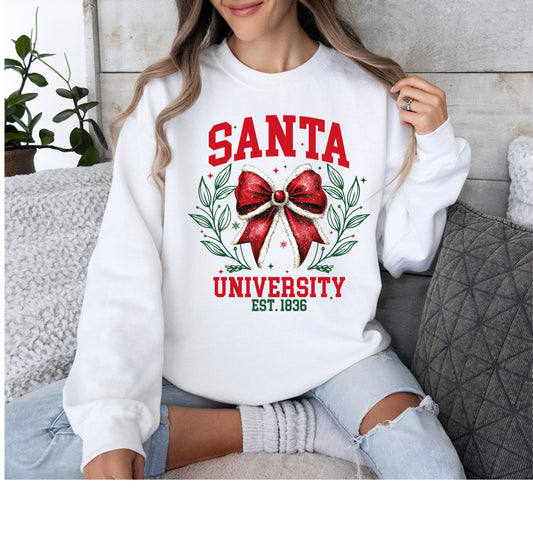 Santa University